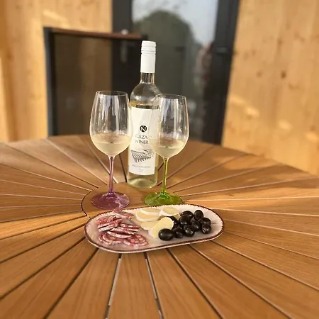 Olson - Village Twins Dom wakacyjny