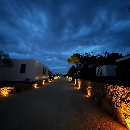 Olson - Village Twins