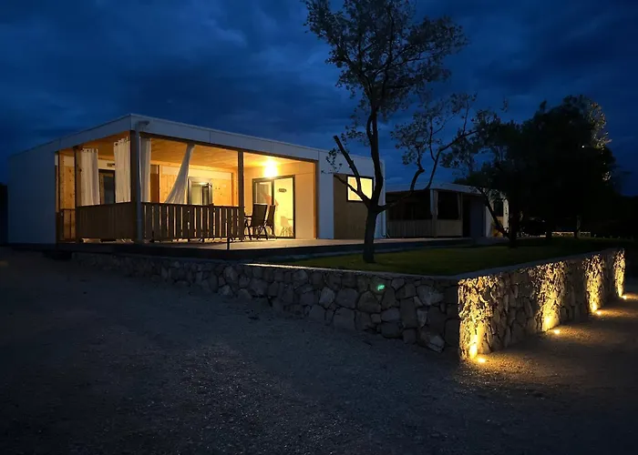 Olson - Village Twins *