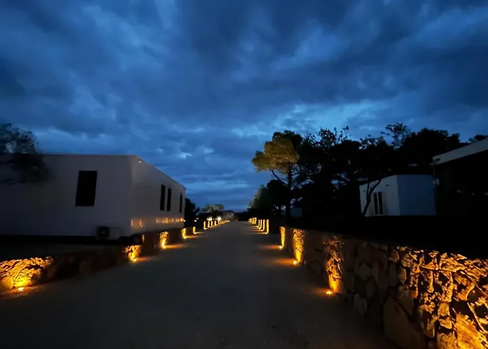 Olson - Village Twins